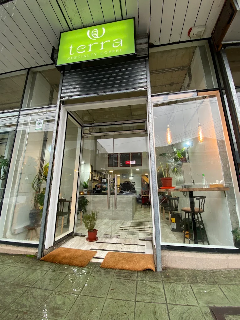 Entrada principal en Independencia 648 con el letrero verde luminoso oficial de Terra Specialty Coffee y ventanales al centro de Valdivia.