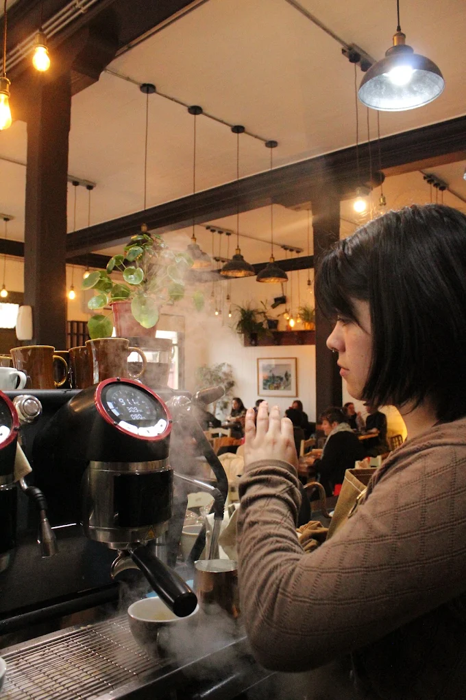 Barista preparando café de especialidad en la máquina de espresso profesional de Terra Valdivia