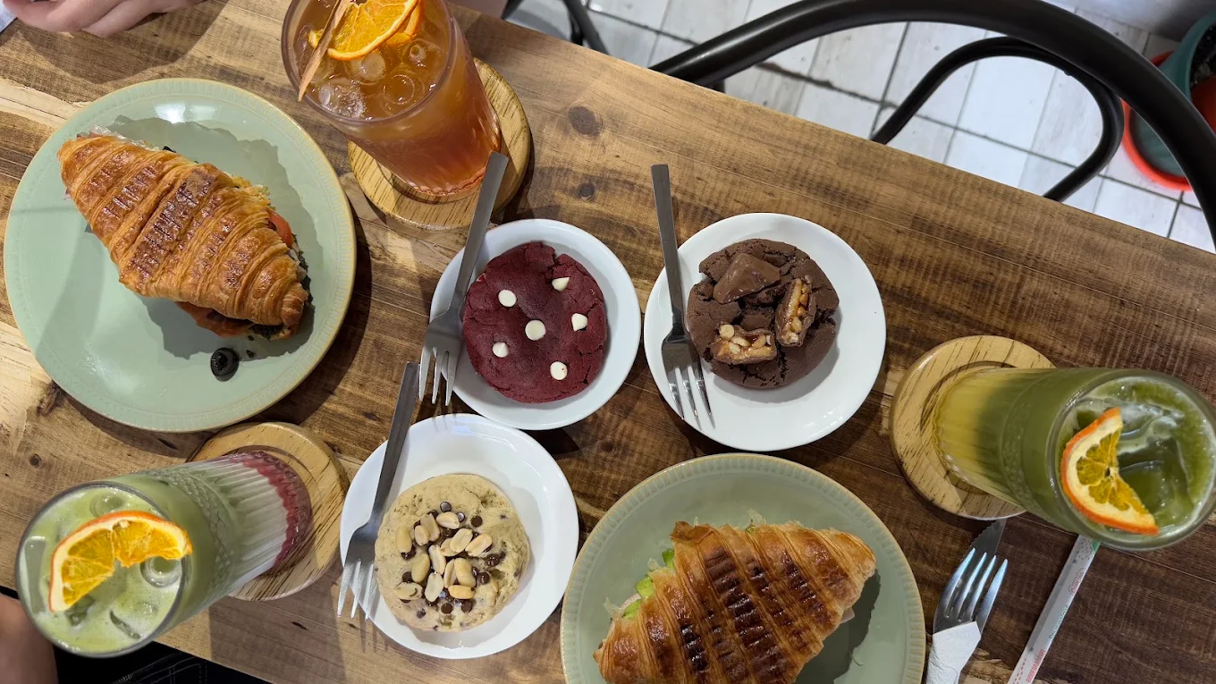 Mesa de degustación completa en Terra Specialty Coffee Valdivia